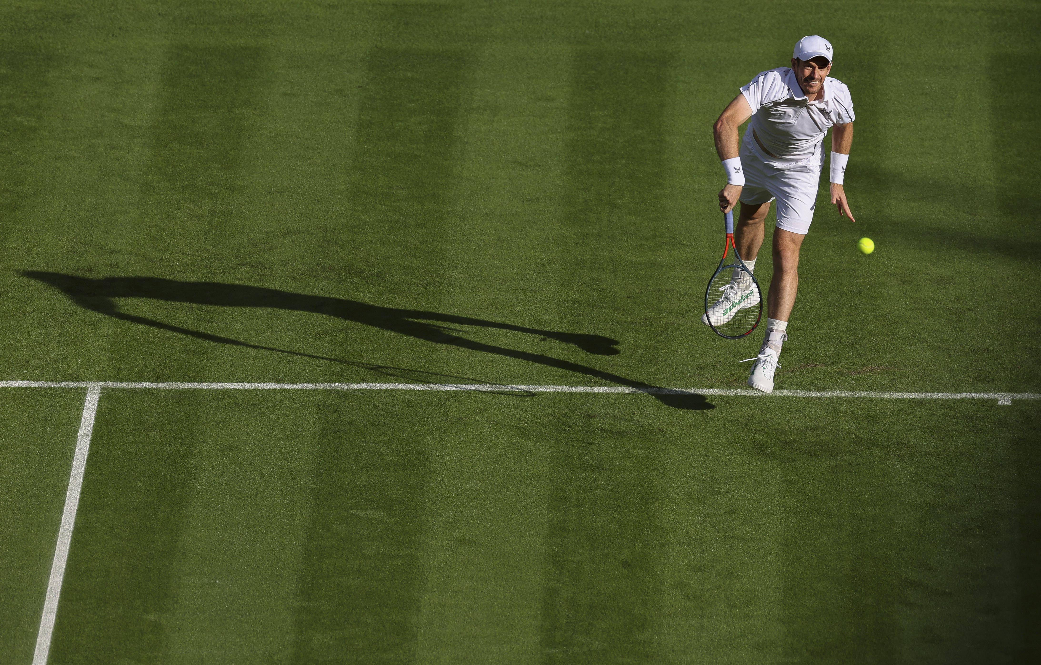 澳网轻取温网,穆雷高光表现 澳网轻取温网,穆雷高光表现