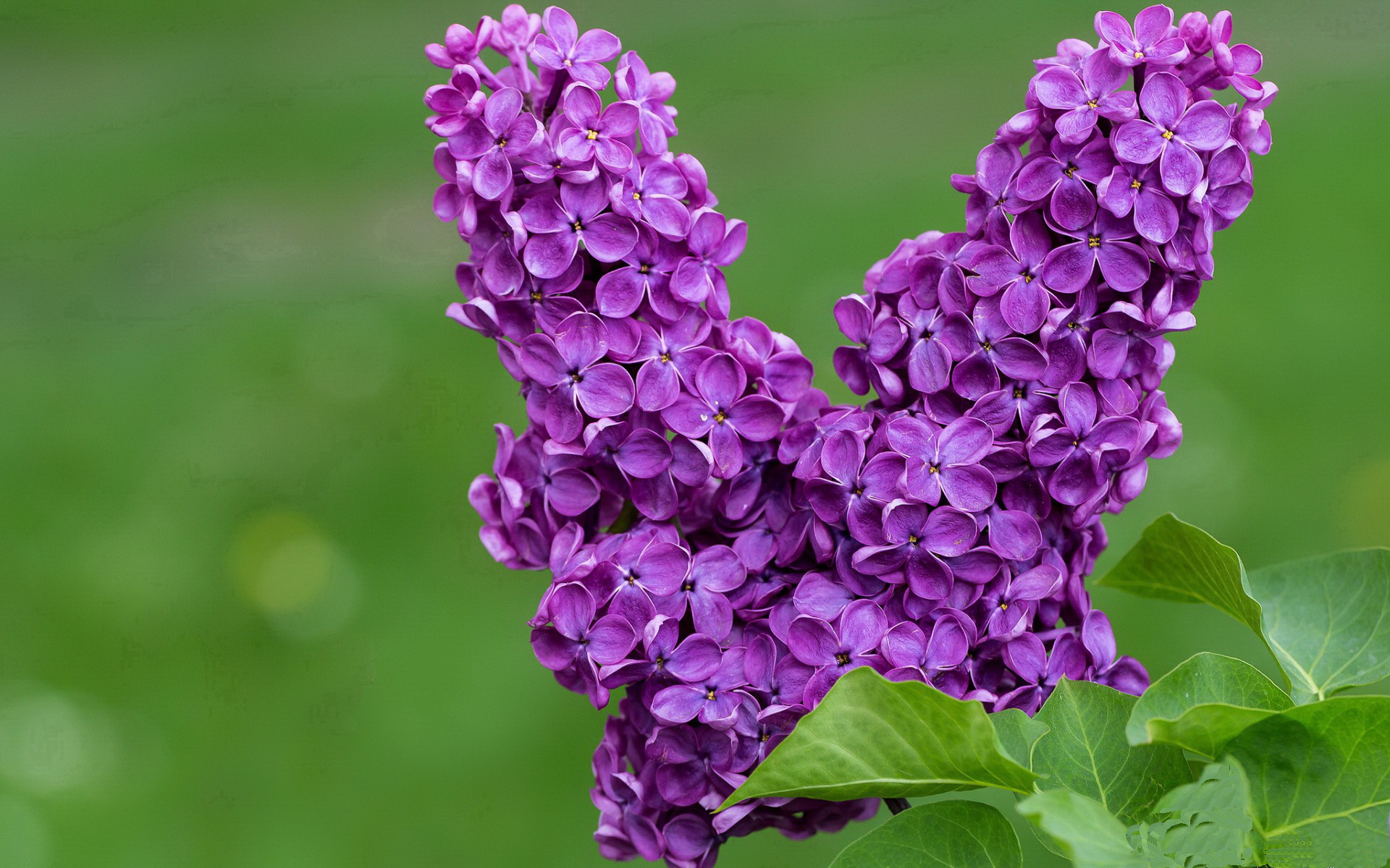 钢铁壁垒与隐形引擎,阿坎吉如何定义年度焦点之夜的攻防哲学