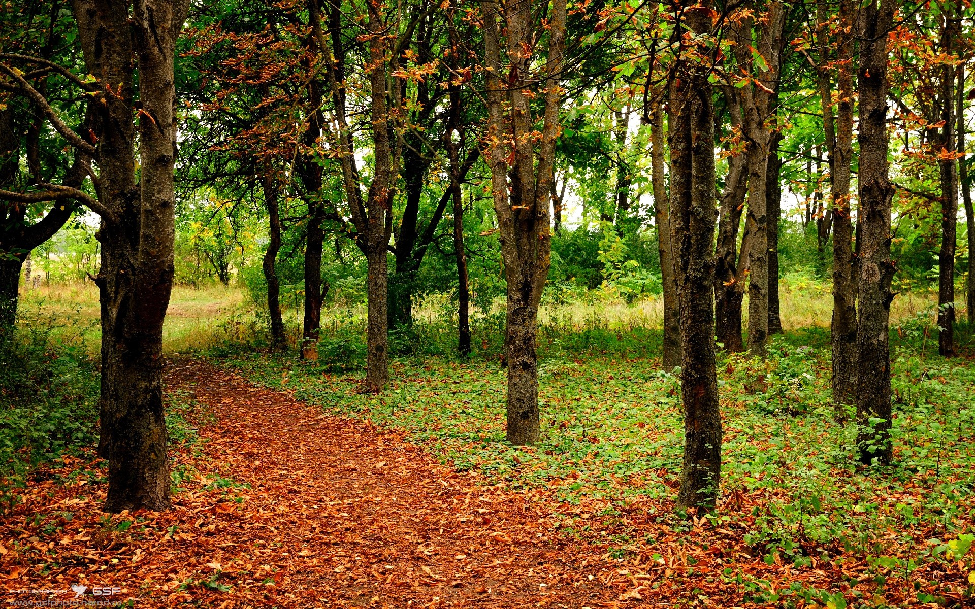 生死战哲学，从篮球绝境到足球逆袭的竞技辩证法