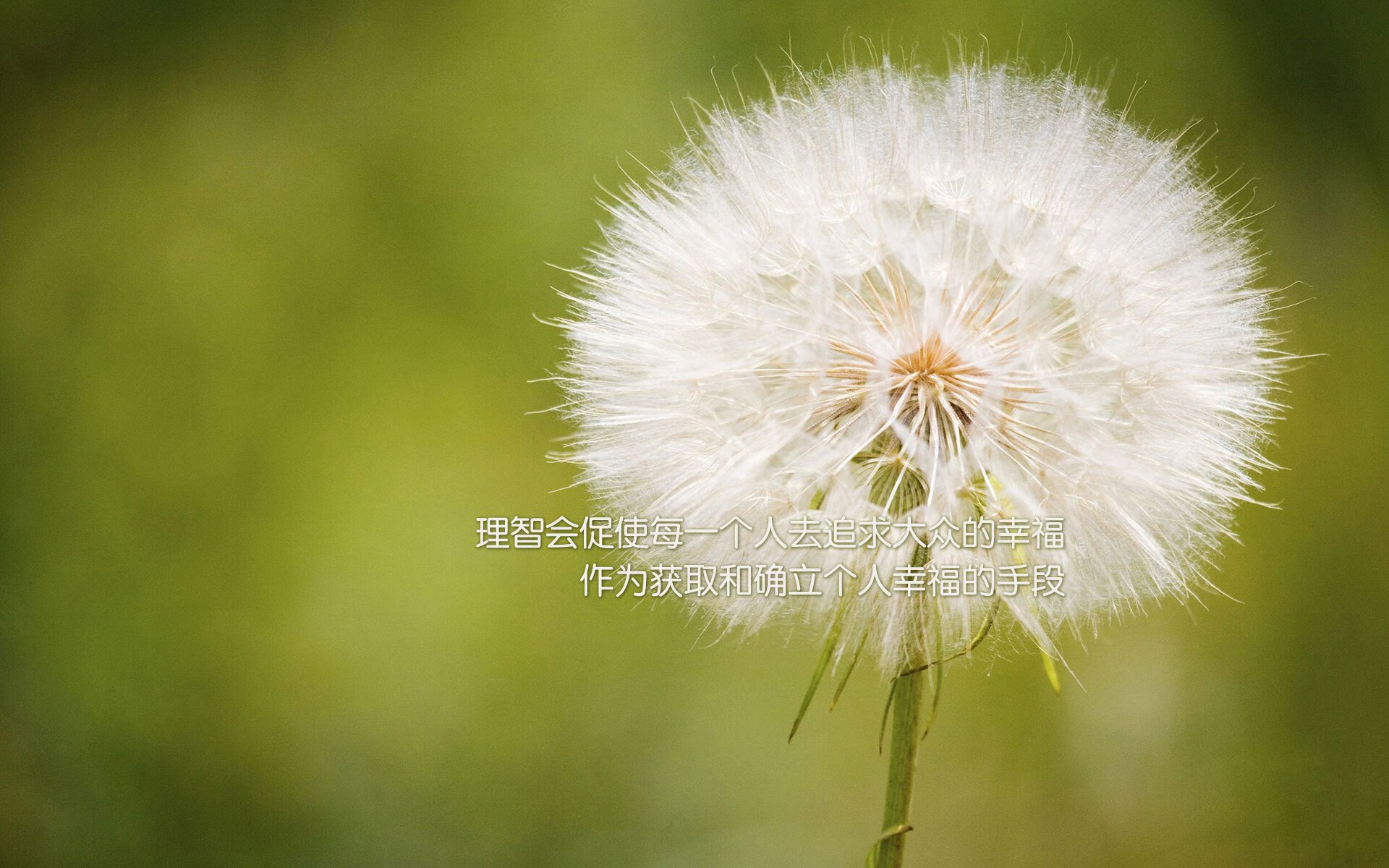 跨越时空的对决，当广东队遇见火箭，保罗用末节狂飙证明自己