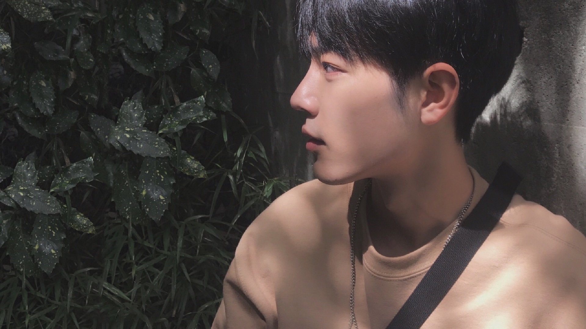 压力双城记,锡安的怒吼与深圳队的铁翼