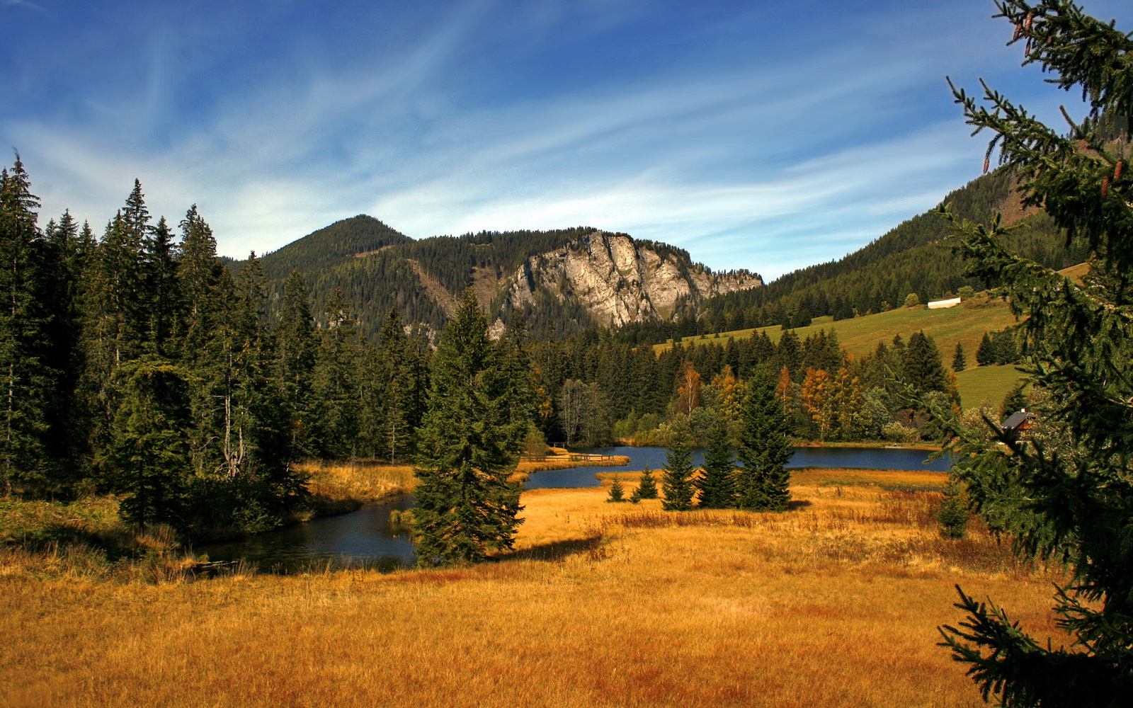 打破次元壁的48小时,利拉德双重舞台的极致演出