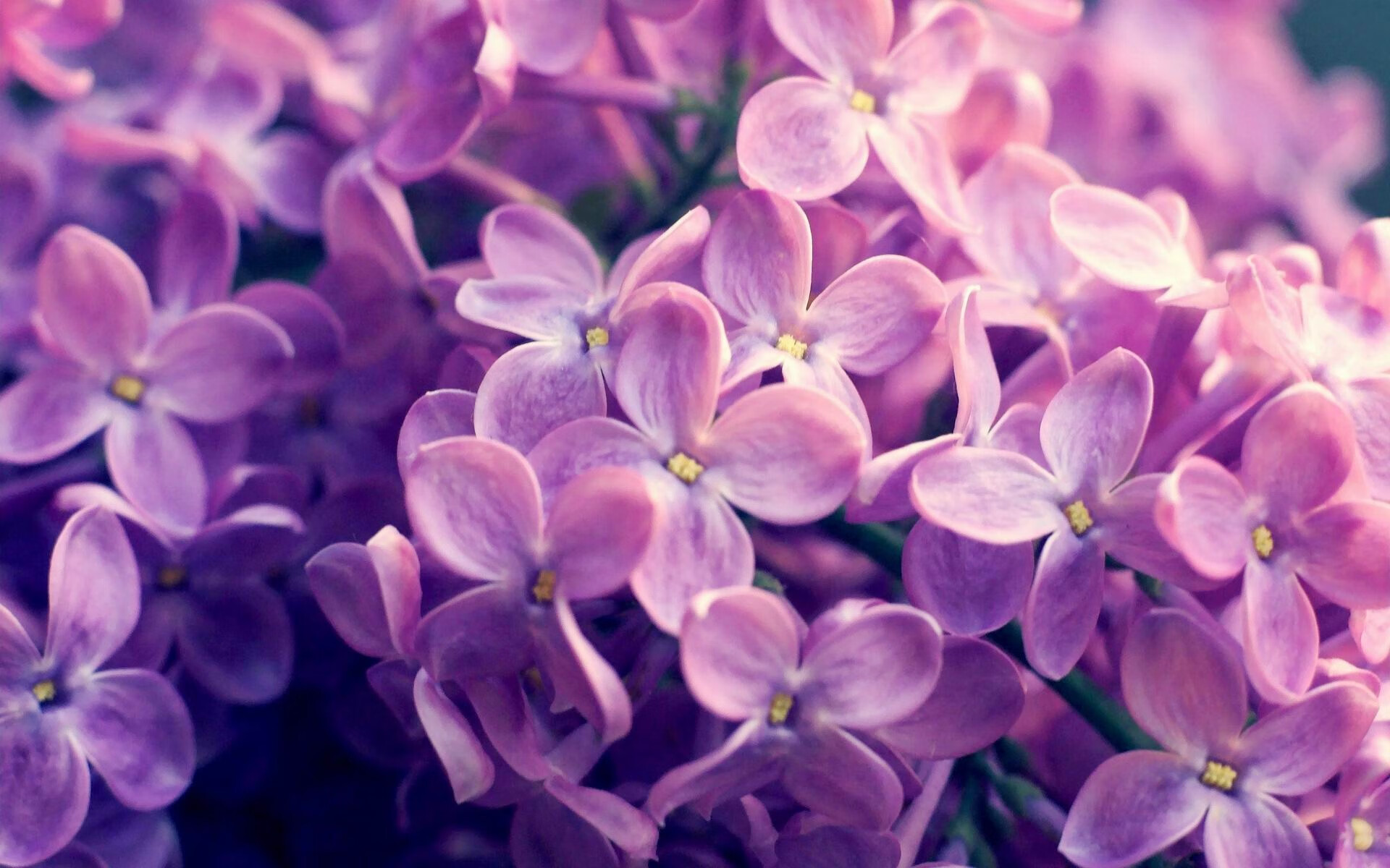 开云APP-资本新王与旧日铁血，体育世界的冰与火之歌