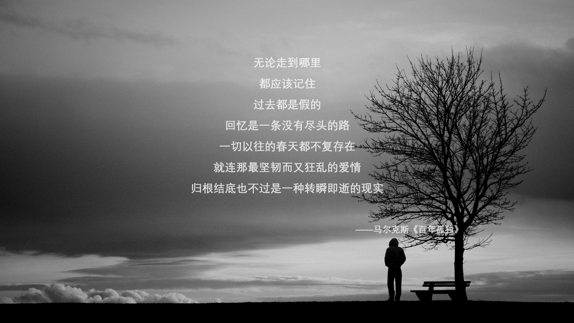 开云体育官网-无解的利刃，沉默的指挥官，当范弗利特成为达拉斯独行侠的终极答案